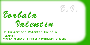 borbala valentin business card